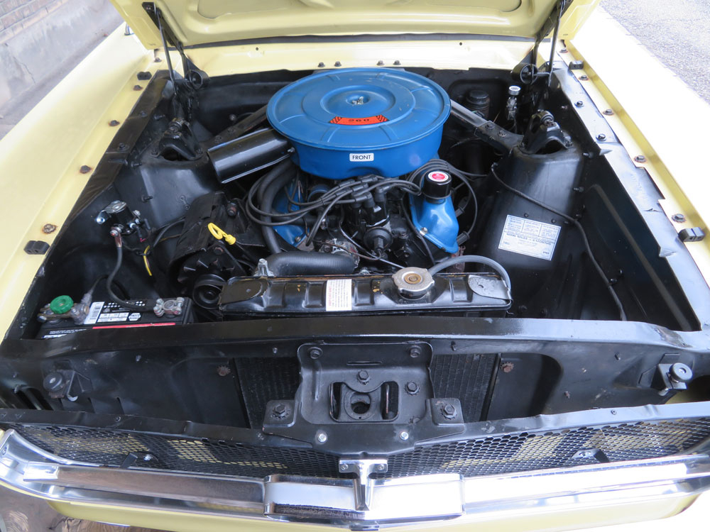 Ford (USA) Mustang V8 Coupé